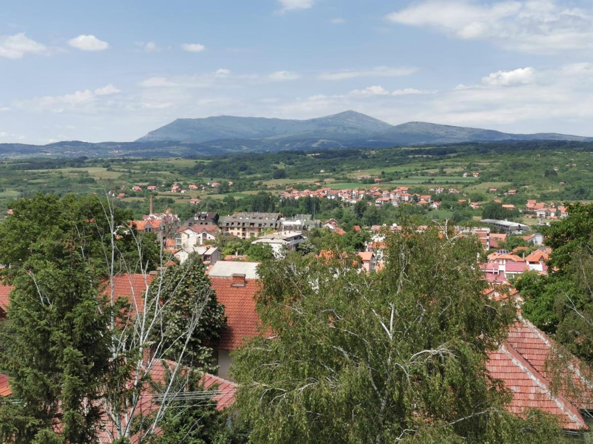 Vila Breza Soko Banja Esterno foto