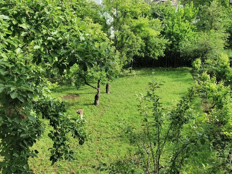 Vila Breza Soko Banja Esterno foto