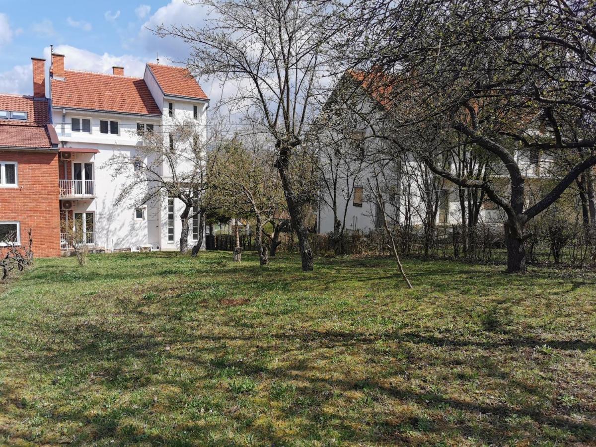 Vila Breza Soko Banja Esterno foto