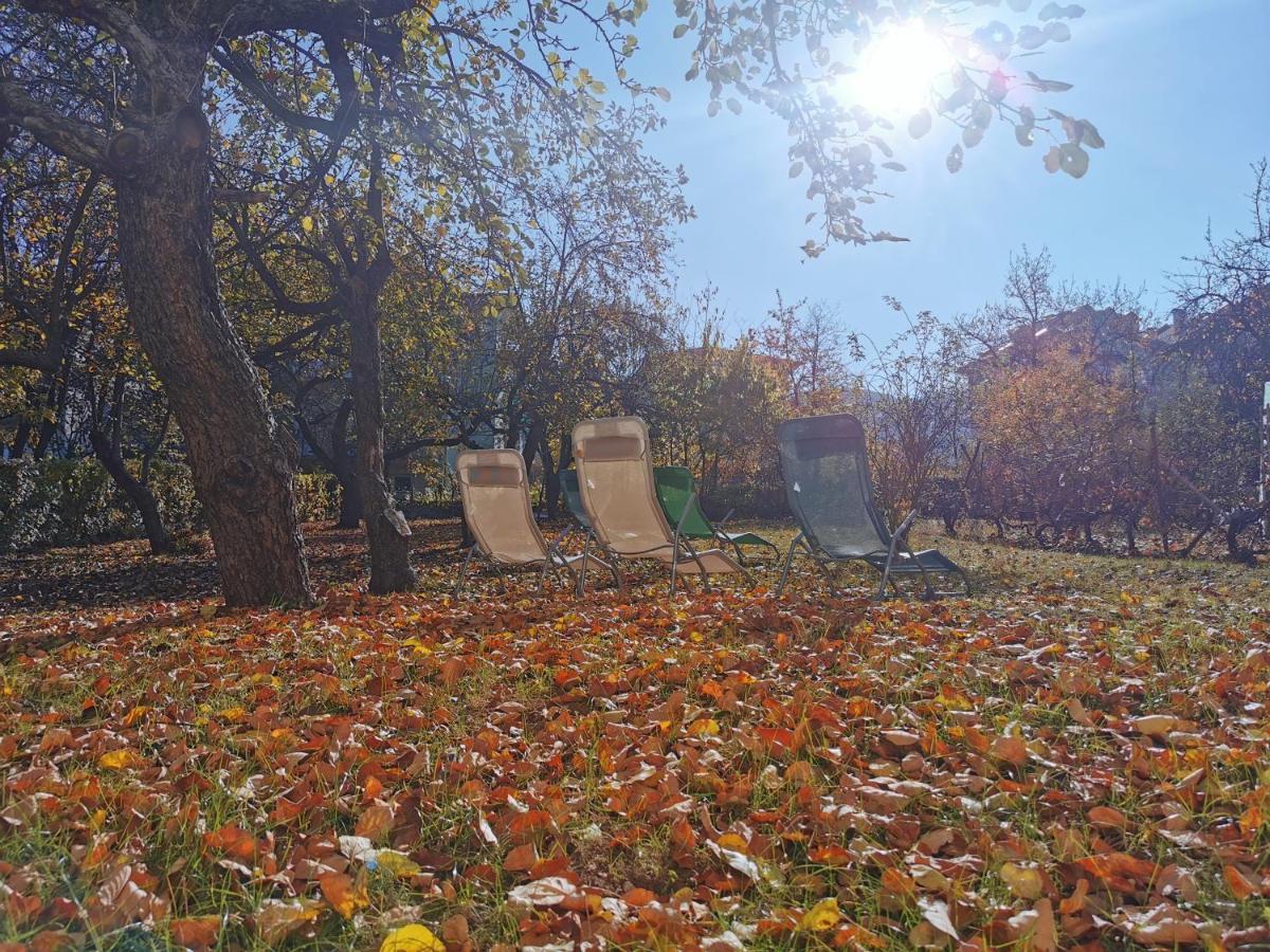 Vila Breza Soko Banja Esterno foto