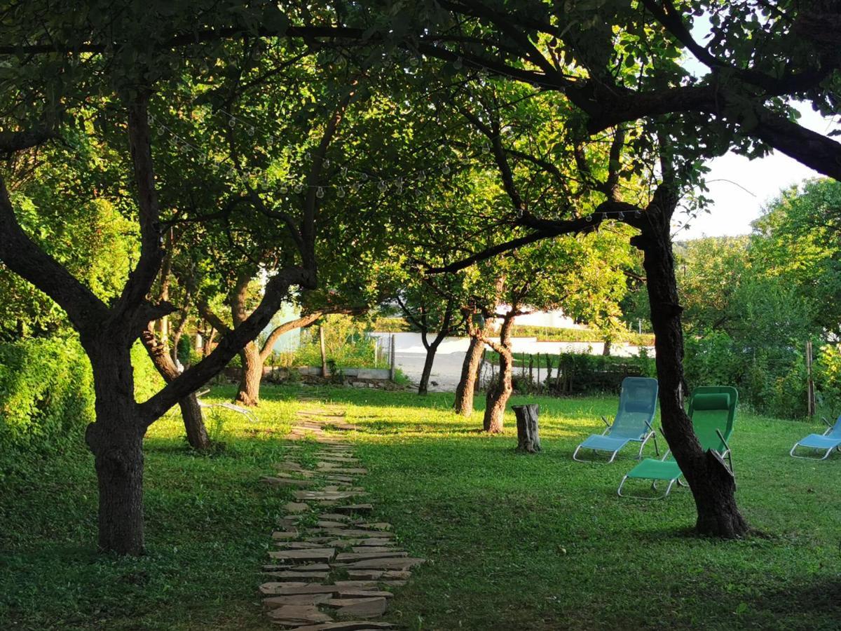 Vila Breza Soko Banja Esterno foto